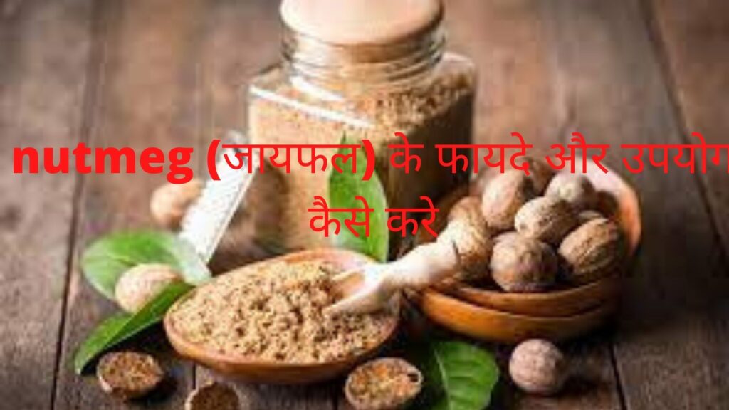 nutmeg (जायफल) के फायदे और उपयोग कैसे करे