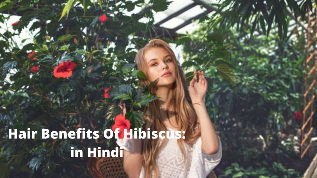 Hair Benefits Of Hibiscus