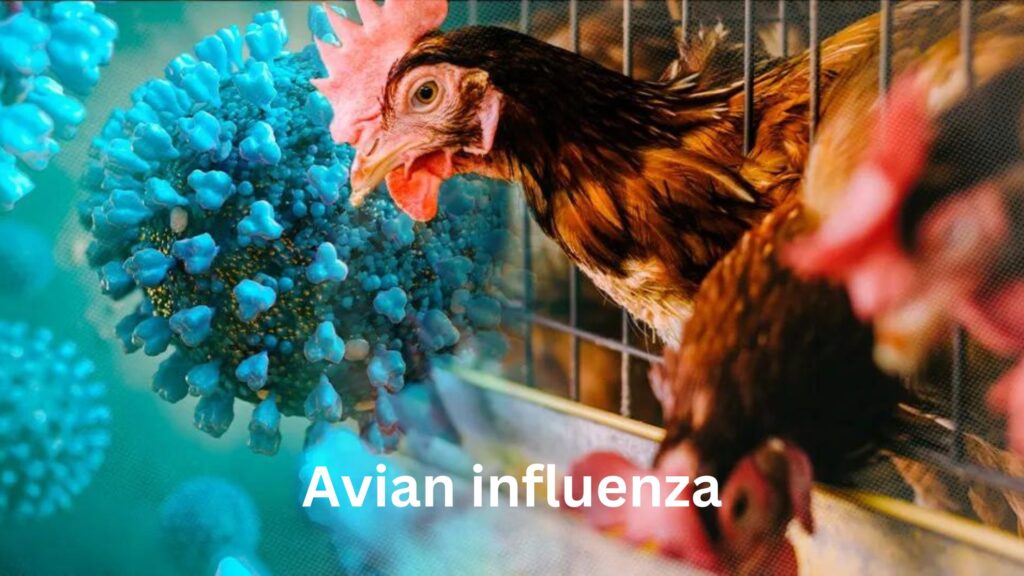 Avian influenza