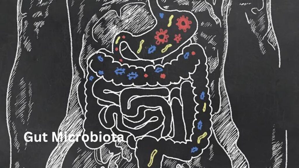 Gut Microbiota in Hindi