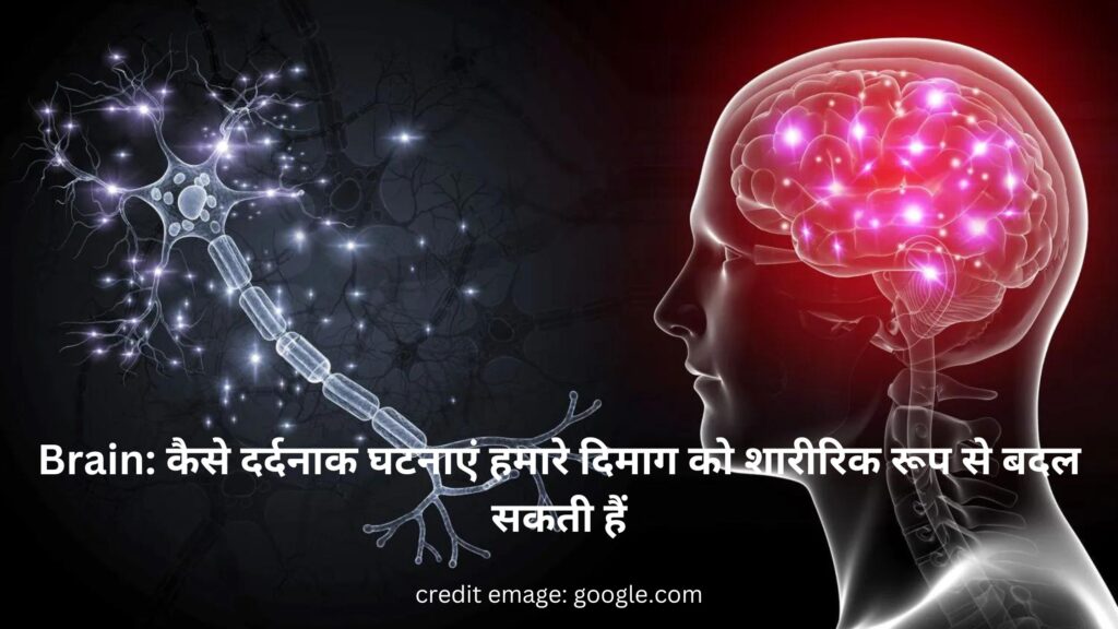 Brain: कैसे दर्दनाक घटनाएं हमारे दिमाग को शारीरिक रूप से बदल सकती हैं