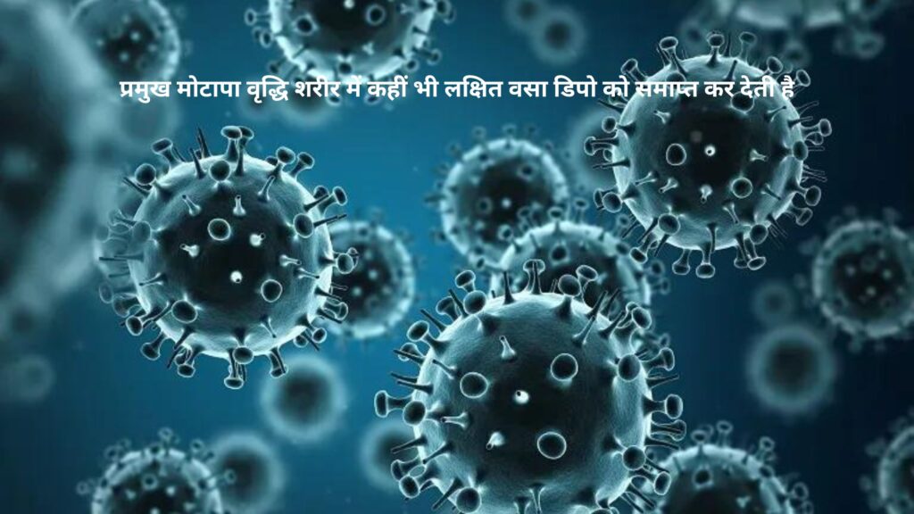 Nanomaterials प्रमुख मोटापा वृद्धि शरीर में कहीं भी लक्षित वसा डिपो को समाप्त कर देती है