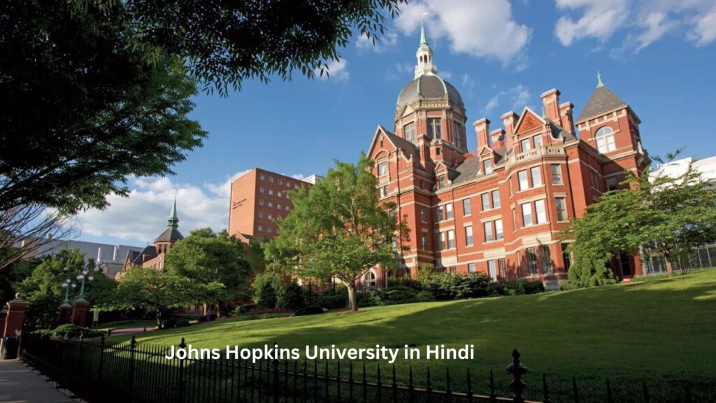 Johns Hopkins University in Hindi